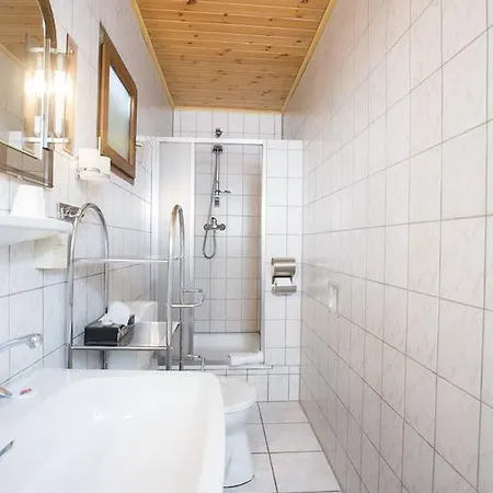 Gasthof Am Romerberg Nehren (Rhineland-Palatinate)