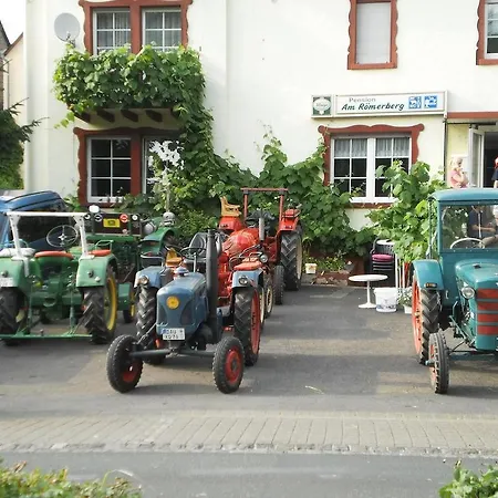 Gasthof Am Romerberg Nehren (Rhineland-Palatinate)