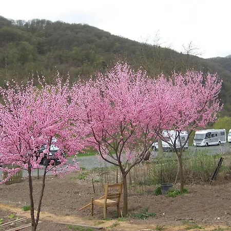 Am Romerberg * Nehren (Rhineland-Palatinate)