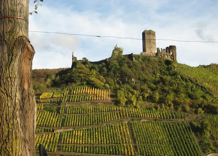 Am Romerberg Nehren (Rhineland-Palatinate)
