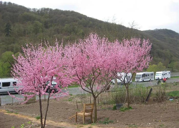 Am Romerberg * Nehren (Rhineland-Palatinate)